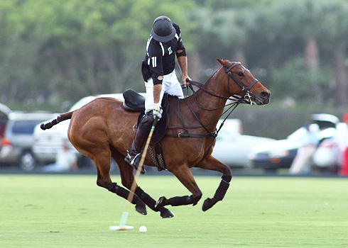 POLO Magazine polo photos Alex Pacheco IPC 2013 6