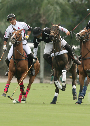 polo photos alex pacheco polo mag ipc polo club 2013 crab orchard audi polo teams 2