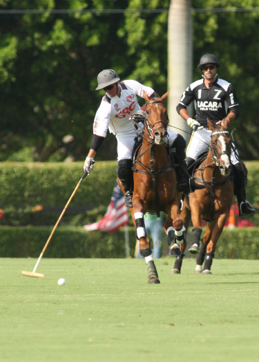 polomagusopensemi zacara erg polo team florida ipc 1