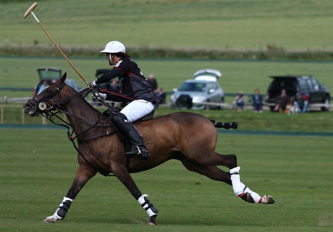 Celine MP Genonceau-British Gold Cup 2012