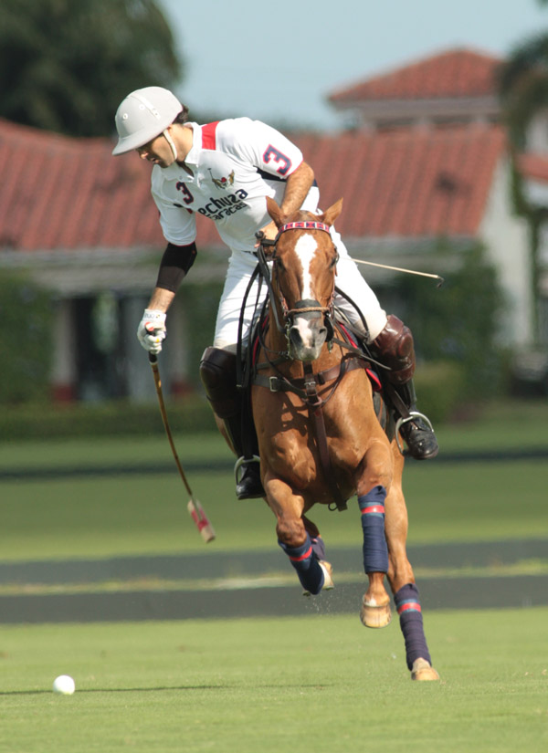 TonkawaLechuza CaracasYlvisaker Cuppolomagazine 3