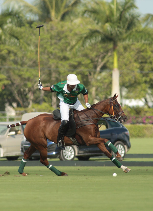 TonkawaLechuza CaracasYlvisaker Cuppolomagazine 4