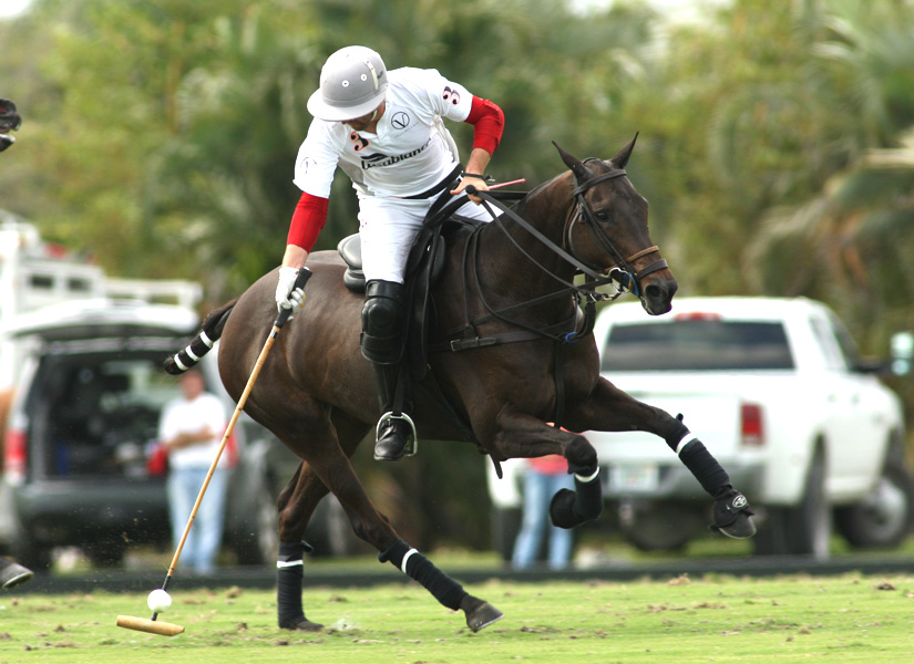 photosvilladellagocasablancafarawaypoloteampolomagazine 3